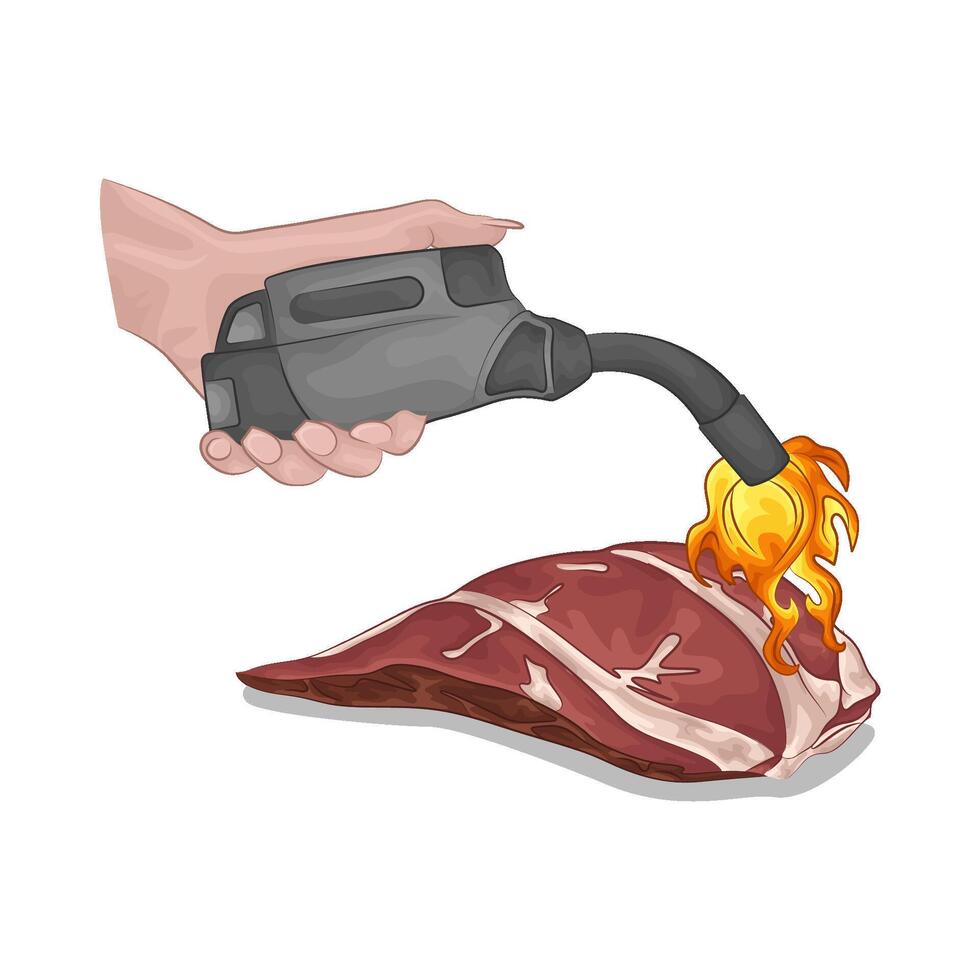 illustration of gas lighter with meat vector