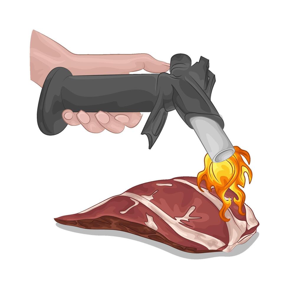 the lighter gas sears the meat vector