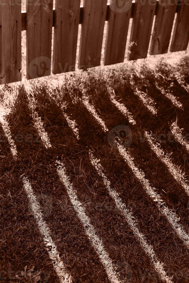 Shadows of a wooden picket fence in a front yard, front garden with grass. Color of the Year 2025 Mocha Mousse color. Chocolate or Brown Background photo