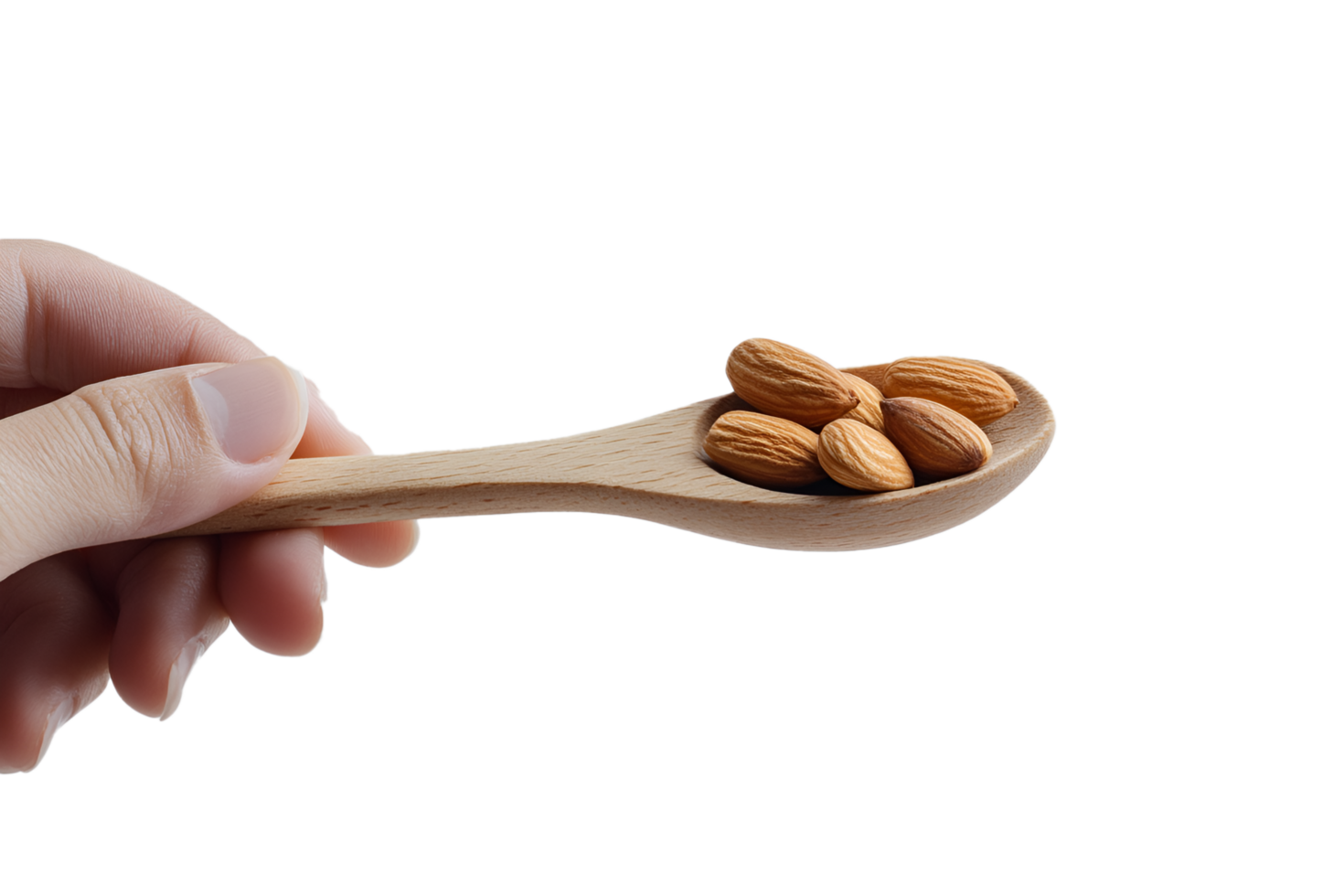 Spoon Full of Almonds png