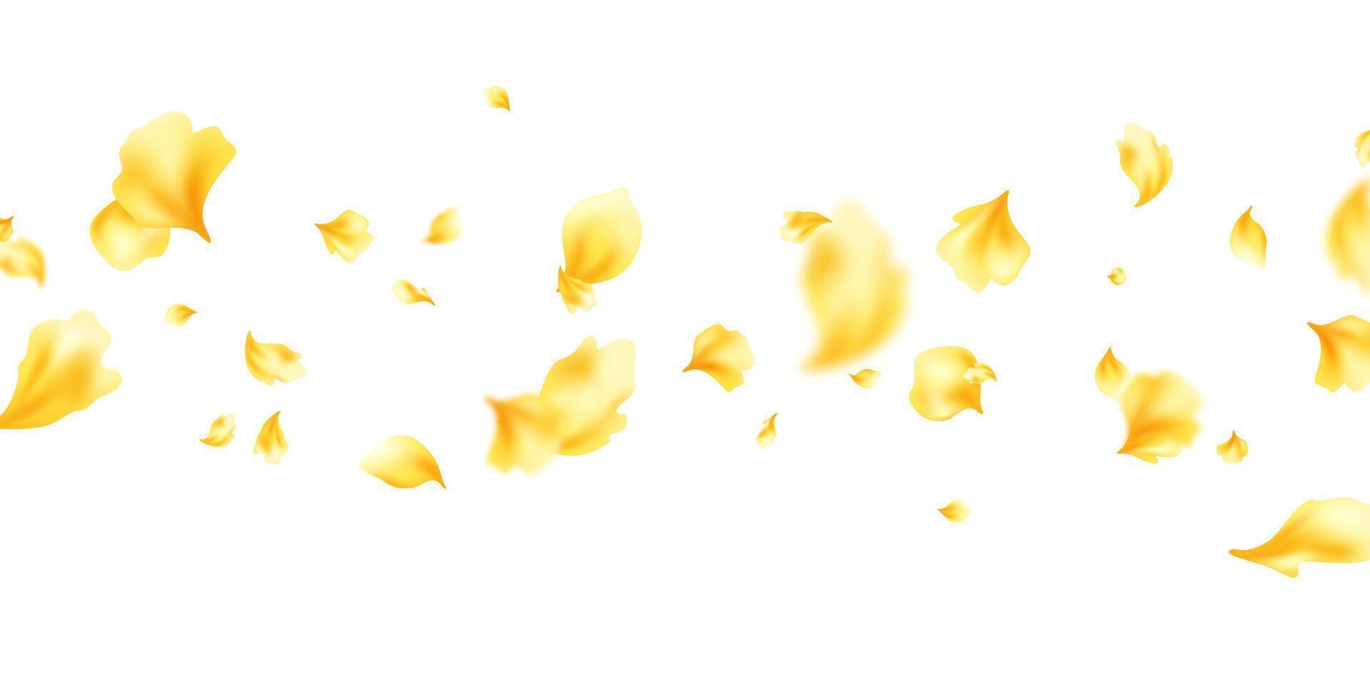 Pastel yellow flower petals falling on abstract floral background with beautiful petal greeting card design. illustration vector