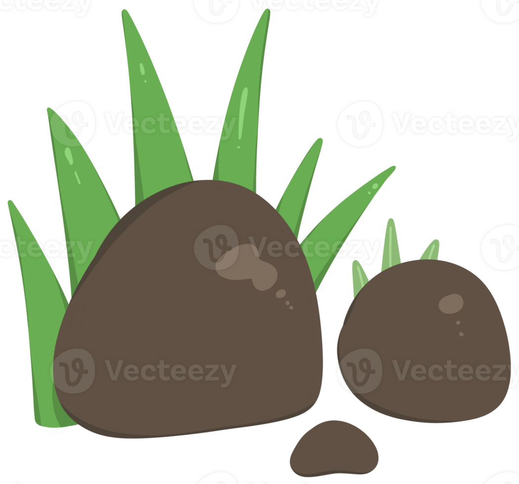 Rocks with leaves png