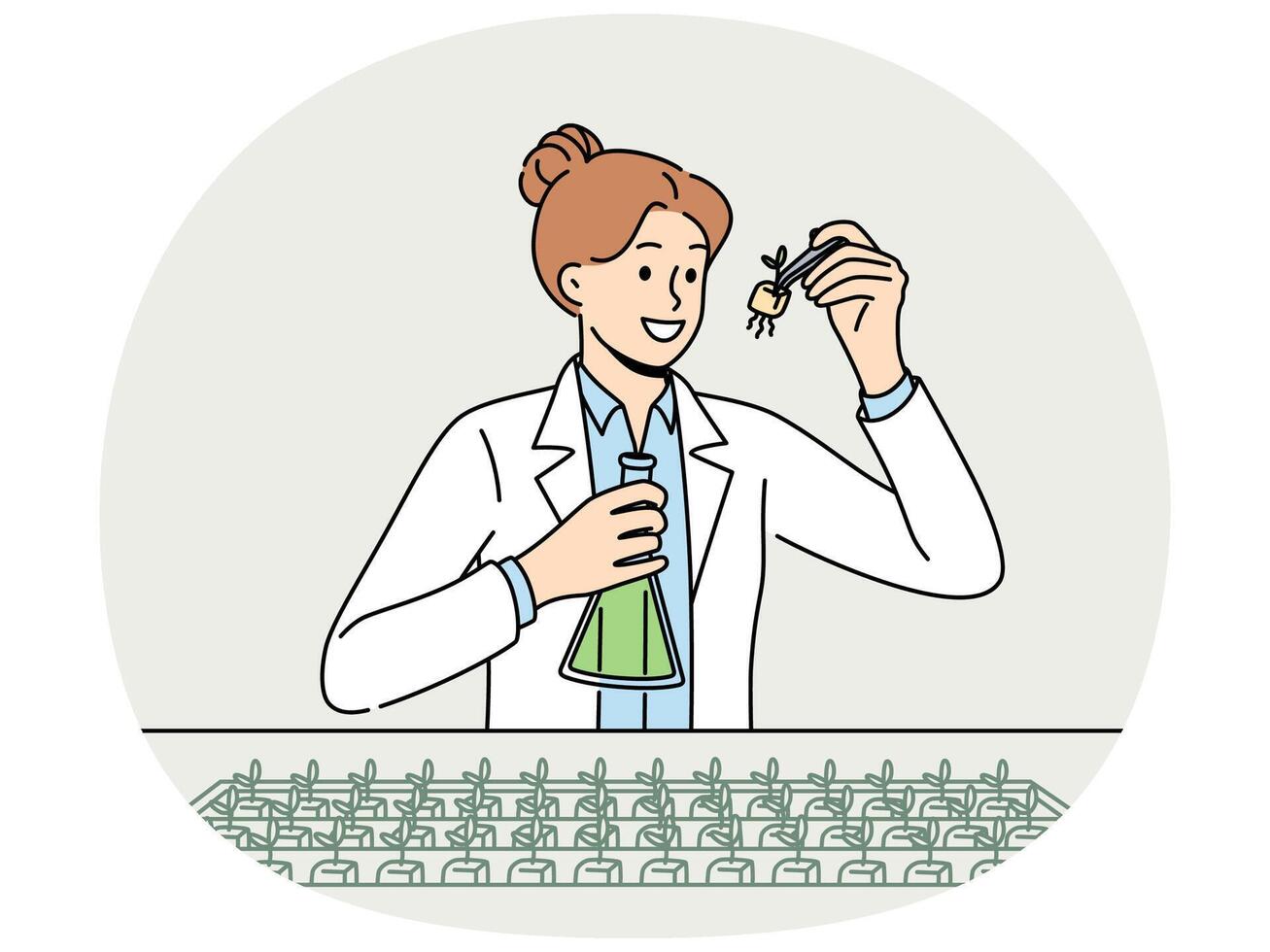 Woman agricultural scientist examines plants in laboratory, selecting new varieties of wheat vector