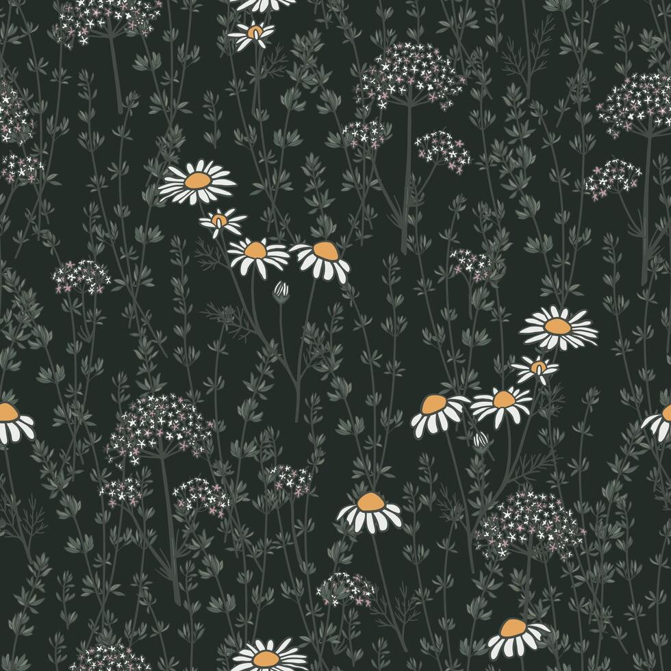 Seamless pattern with hand drawn chamomile, valerian and thyme plants on dark background. Wild medical plant design for fabric, home textile, wrapping paper, gift paper vector