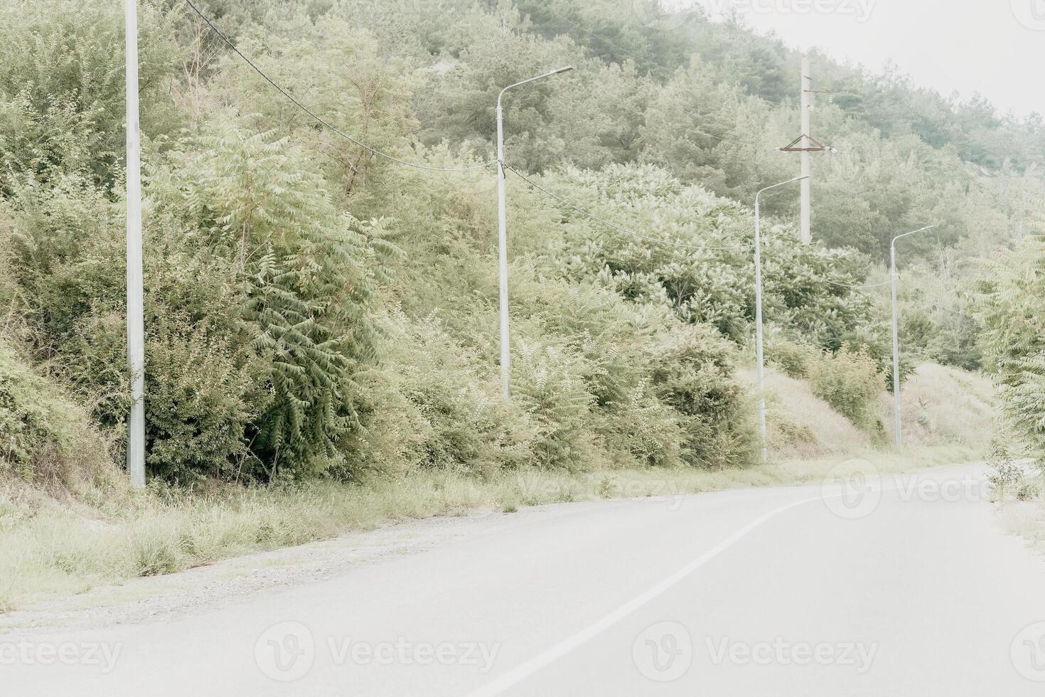 Empty Road Through a Hillside of Foliage photo