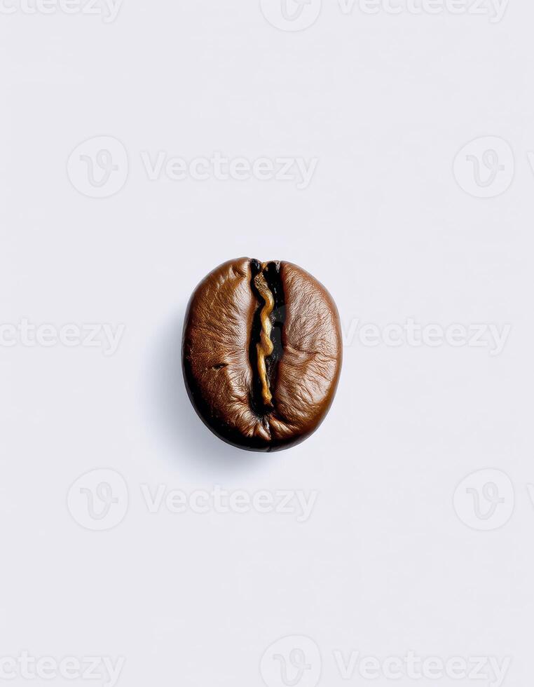 Coffee bean close-up showing rich texture and natural sheen captured against a minimalist background photo