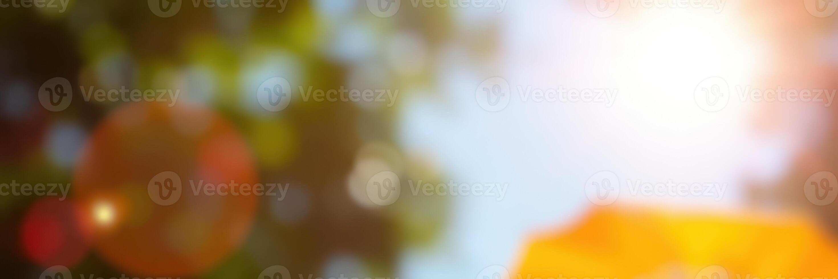 Bright sunlight filtering through leaves at a park on a warm summer day photo