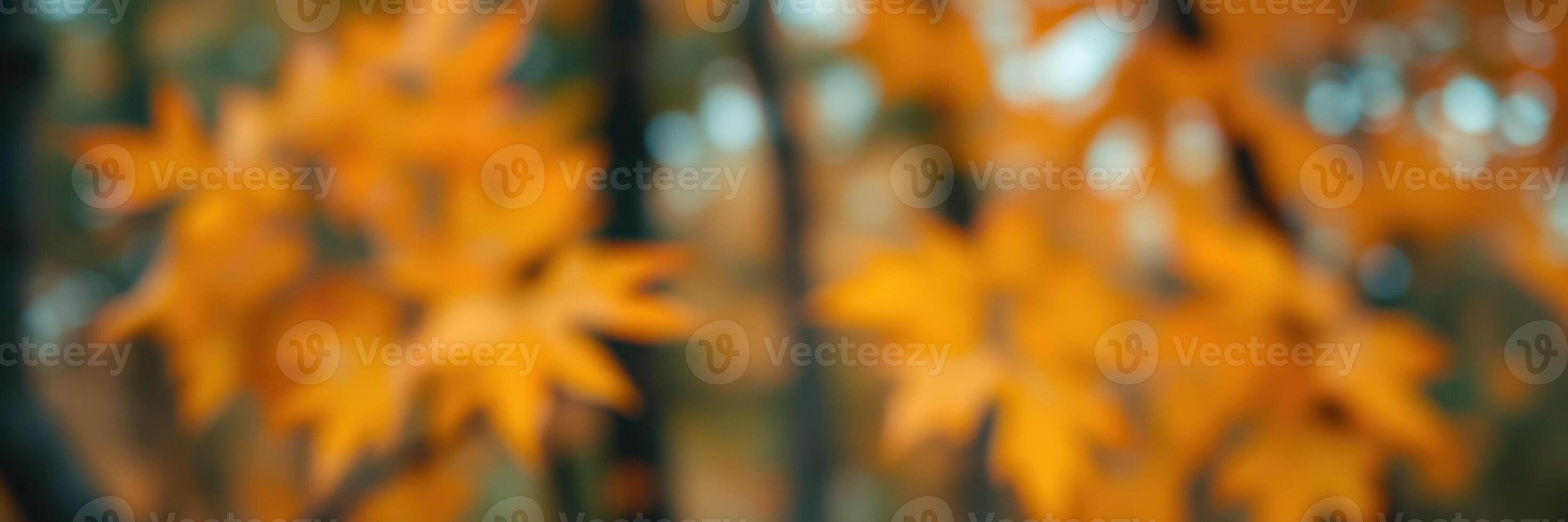 Vibrant autumn foliage capturing the essence of fall in a serene forest setting with blurred background photo