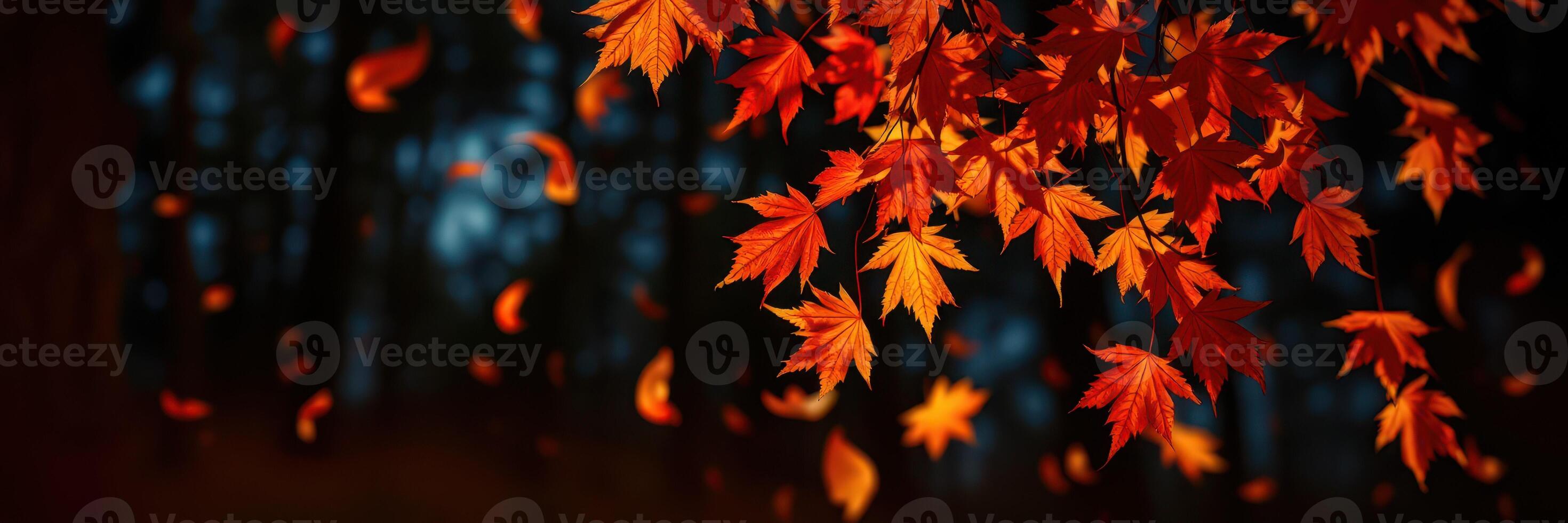 Vibrant autumn leaves gracefully falling in a serene forest setting during late afternoon sunlight photo