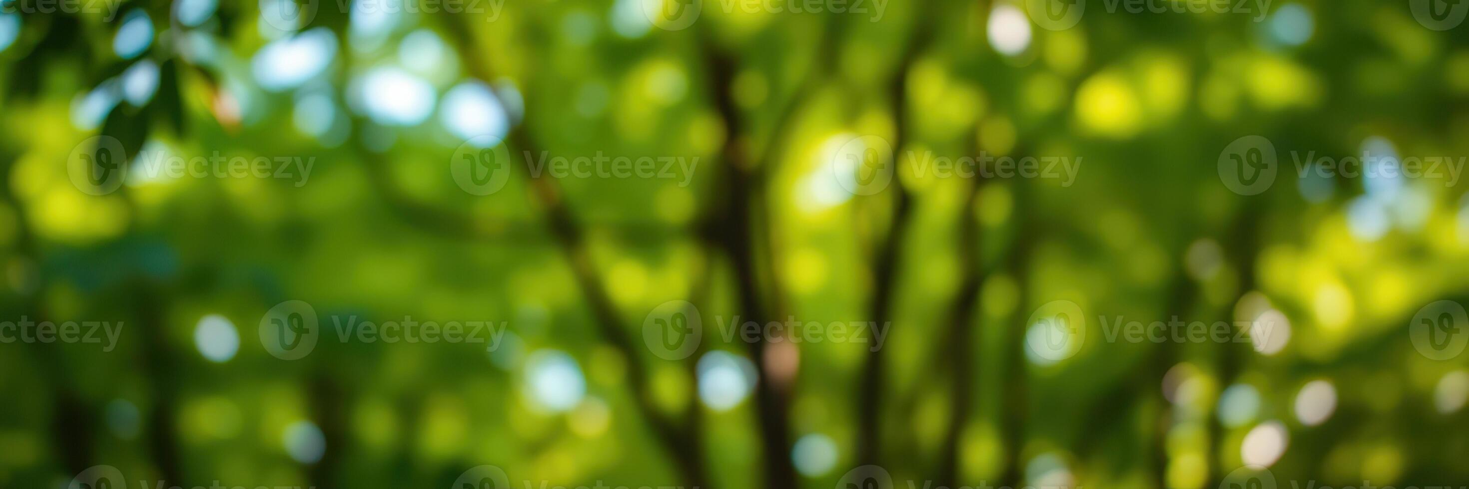Lush green leaves create a serene backdrop in a forest during a sunny day in spring photo