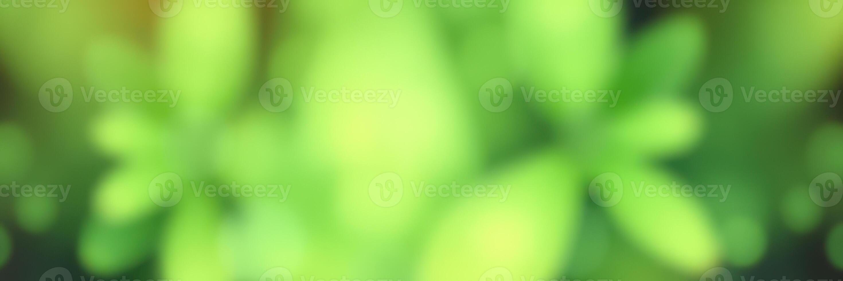 Vibrant green foliage creates a soothing backdrop for a peaceful garden scene during a sunny afternoon in springtime photo