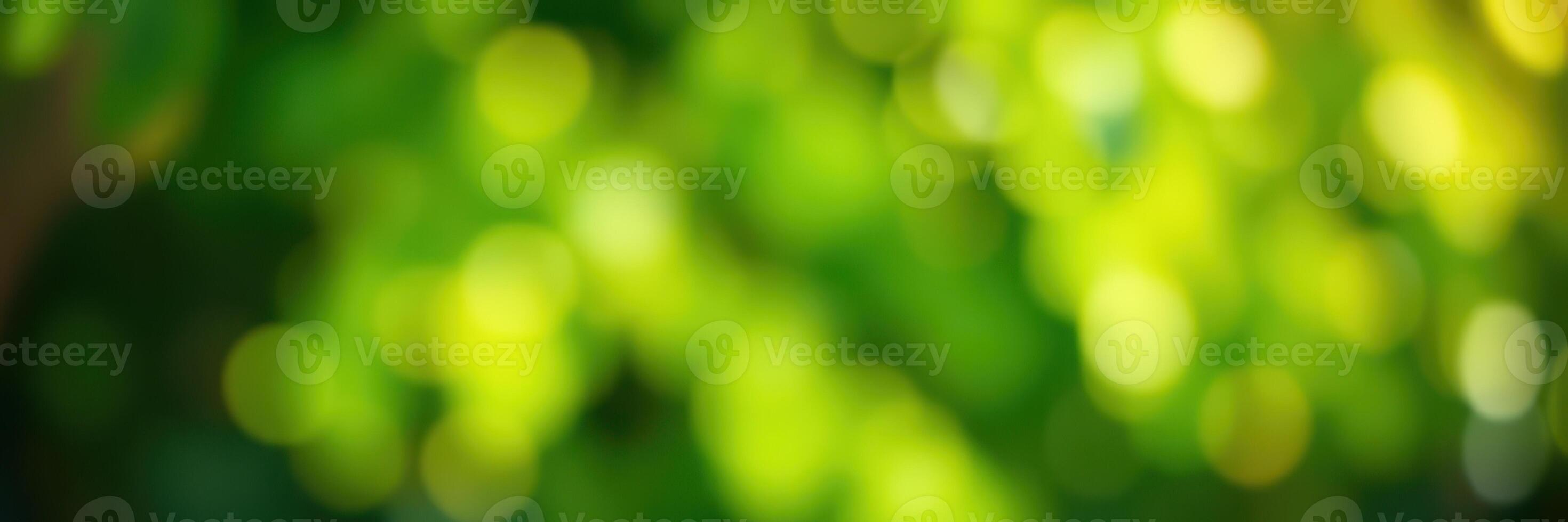 Soft green bokeh effect created by sunlight filtering through foliage in a tranquil outdoor setting photo