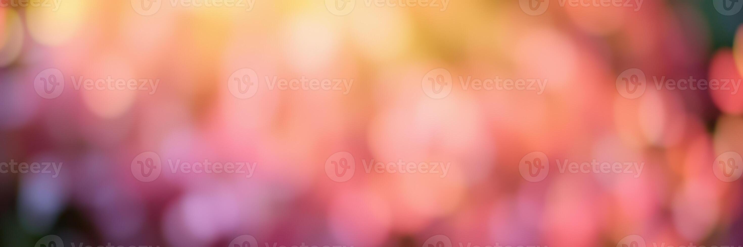 Colorful bokeh effect created by flowers in a garden during a sunny afternoon photo