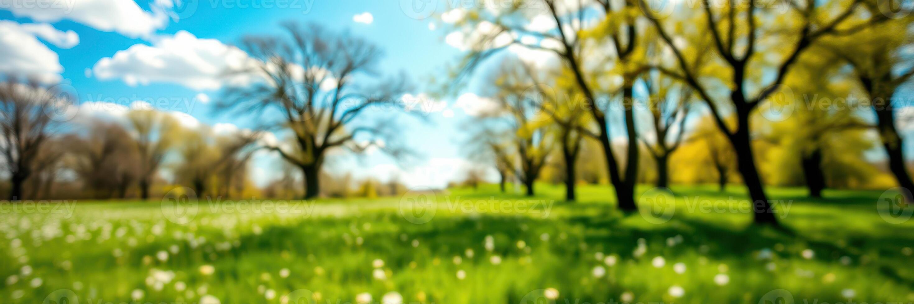 Lush green meadow under a blue sky with trees blooming on a sunny spring day photo