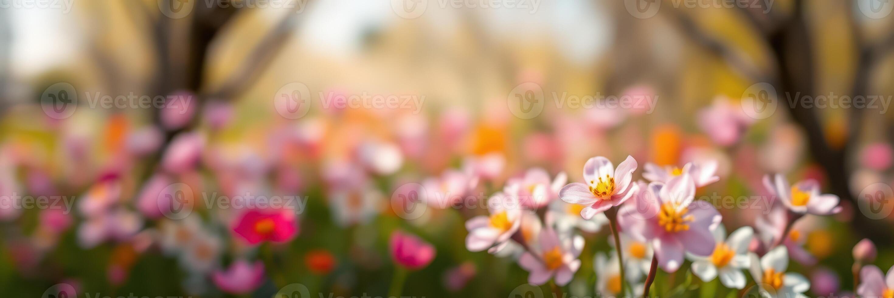 Colorful blossoms in a vibrant garden during springtime showcasing natural beauty and serenity photo