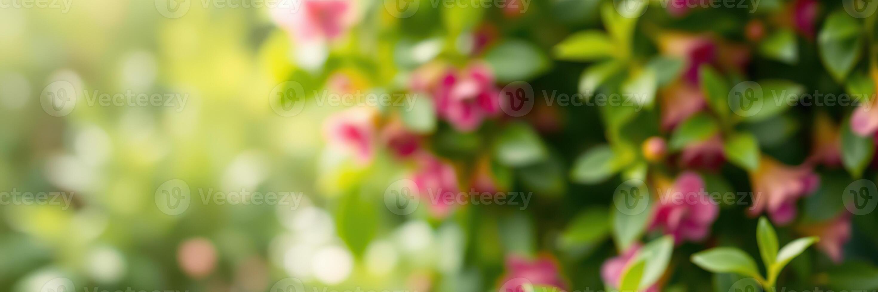 Colorful pink flowers bloom amidst lush green foliage in a serene garden setting during springtime photo