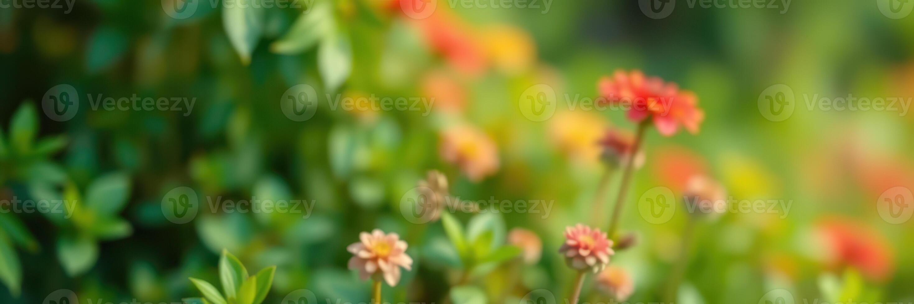 Vibrant flowers blooming in a garden during a sunny afternoon photo