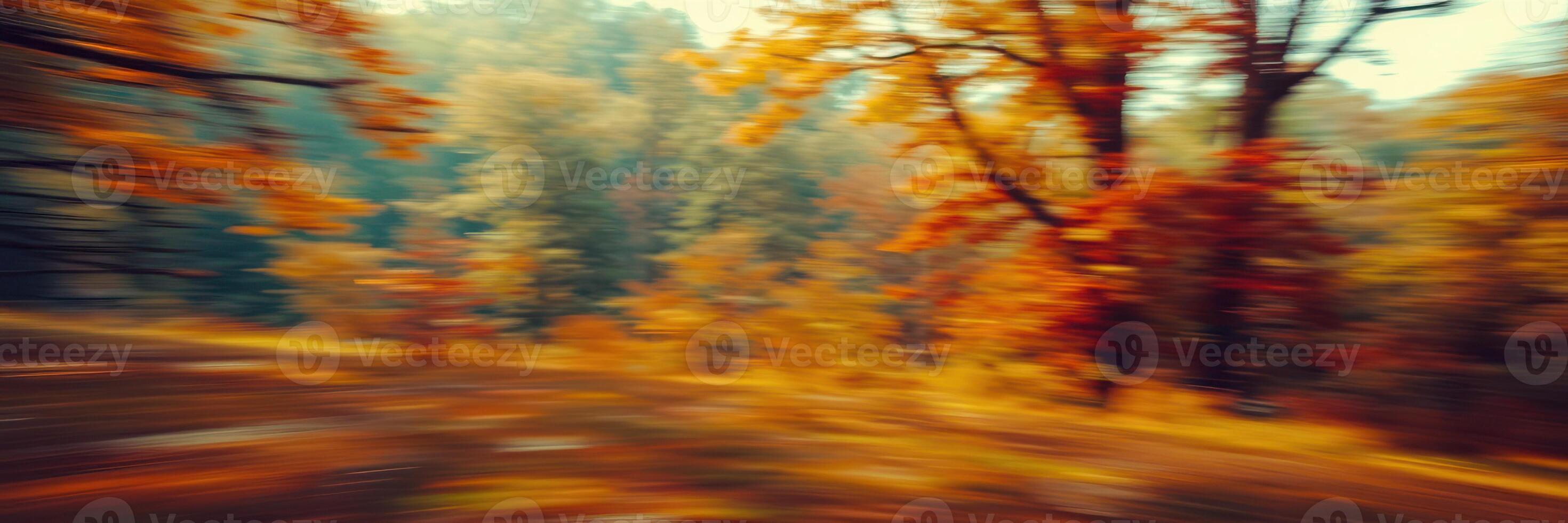 Autumn foliage blurs in motion through a serene forest landscape near a winding path in the golden light of late afternoon photo