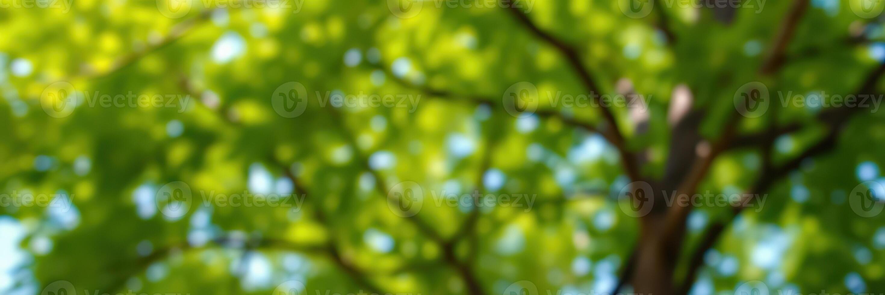 Lush green foliage illuminated by sunlight filtering through a vibrant canopy in an outdoor setting during daytime photo