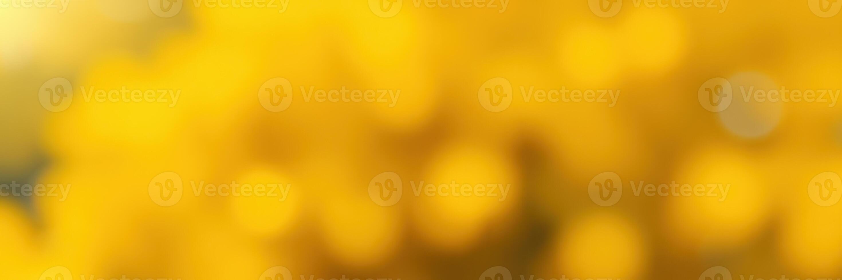 Vibrant yellow flowers bloom in a sunny garden during the spring season, creating a cheerful atmosphere photo
