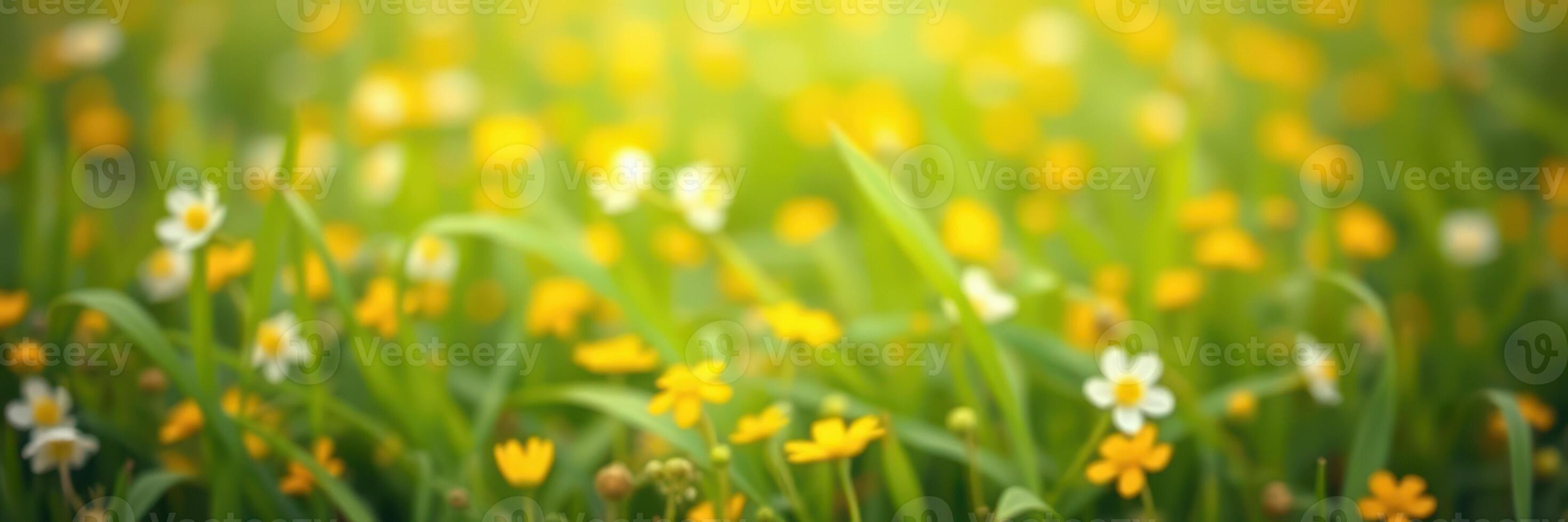 Colorful wildflowers bloom in a lush, sunlit meadow during springtime photo