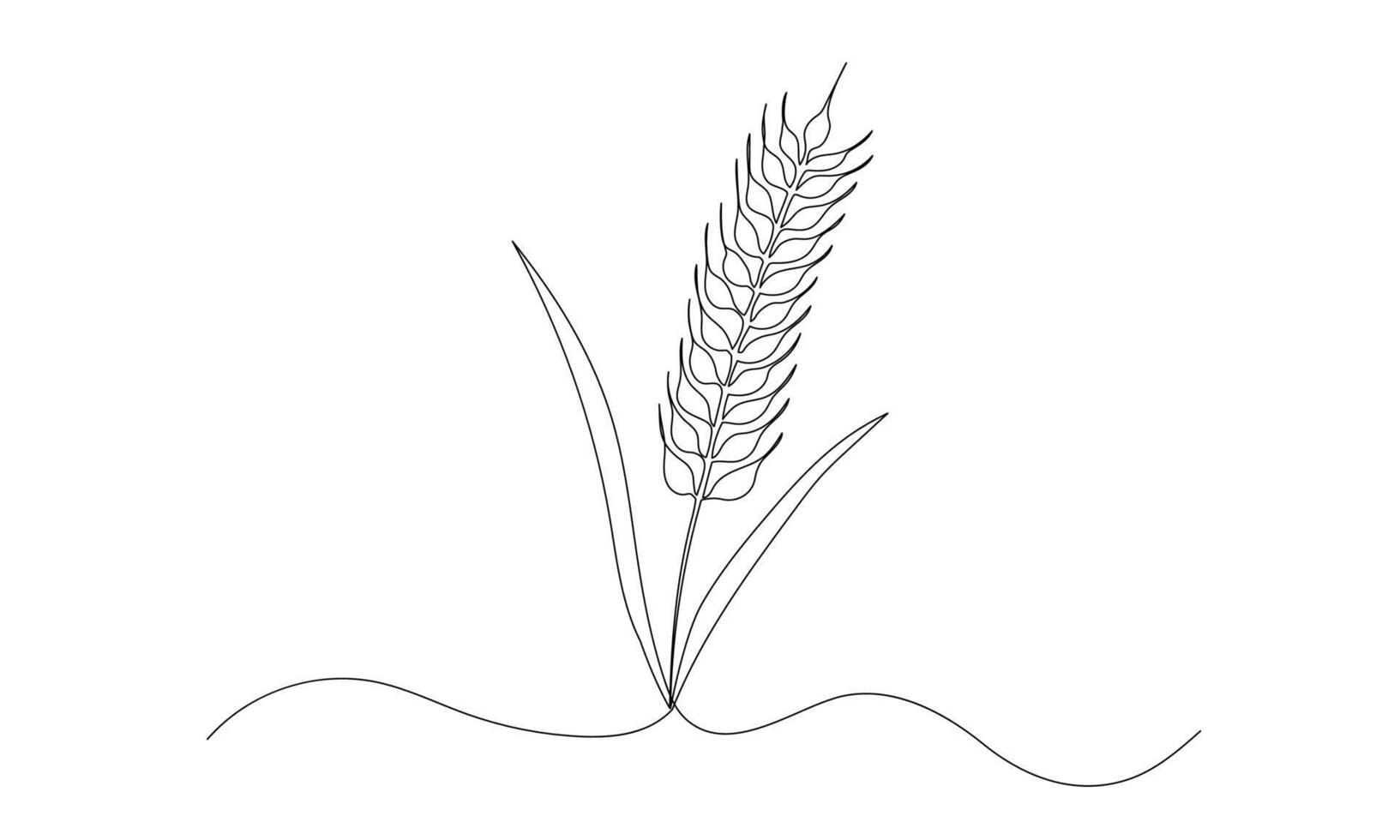 Wheat one continuous line illustration. Hand drawn doodle sketch of barley grain vector