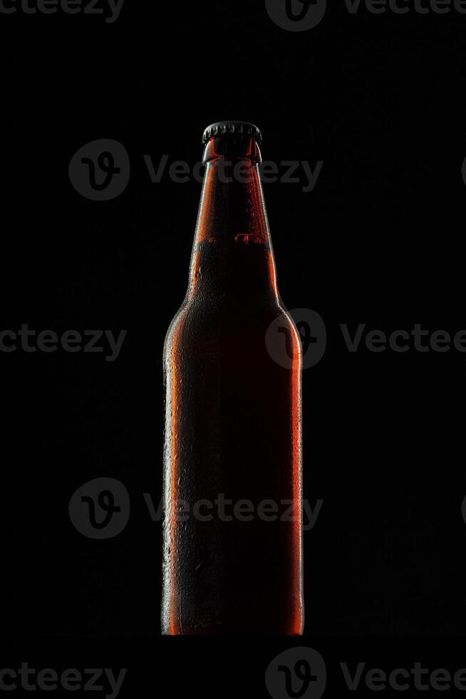 Beer bottle on dark background, copy space photo