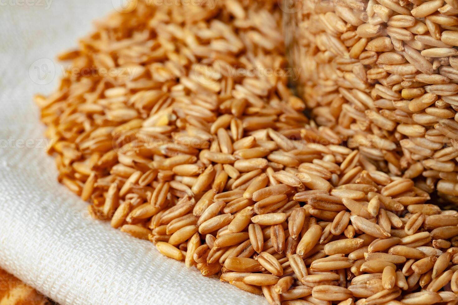 Raw uncooked whole oats grain close up photo