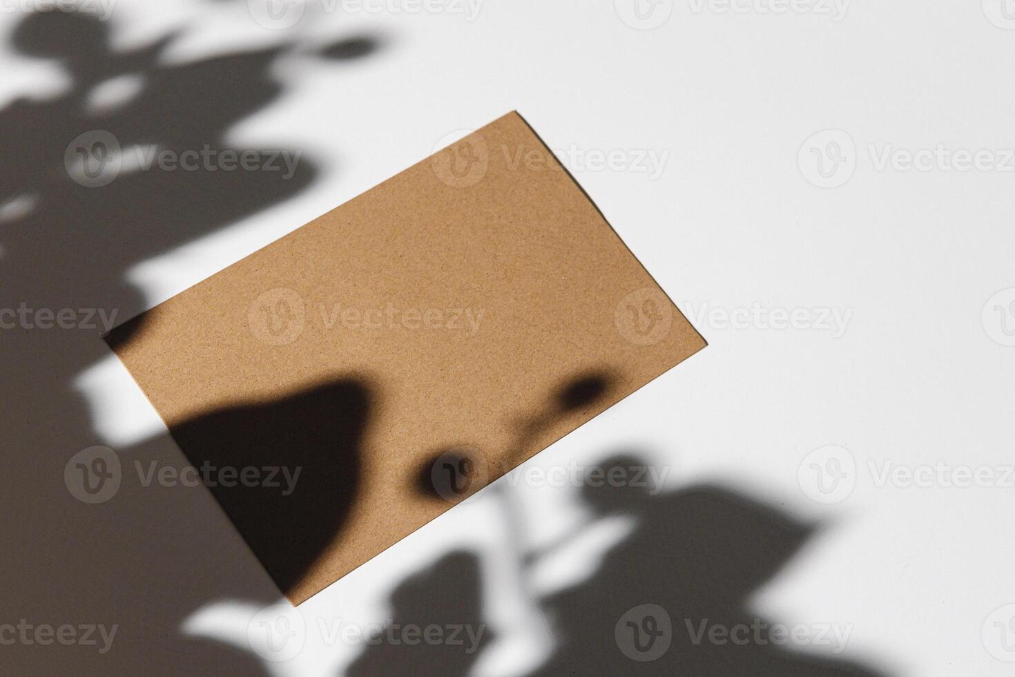 Business card on paper background with foliage shadow photo