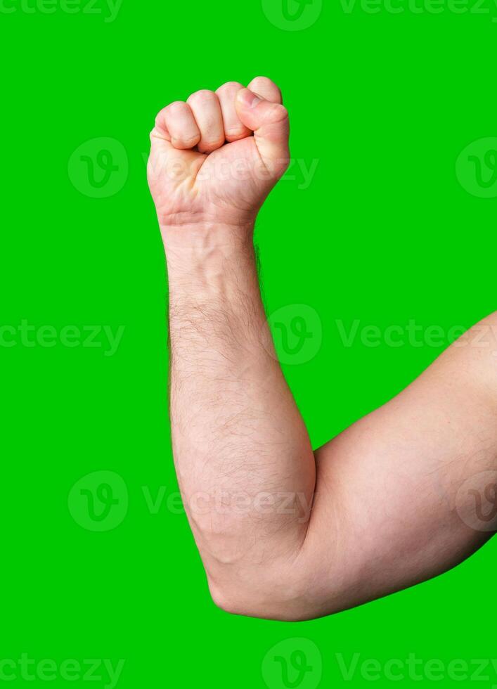 A muscular arm making a fist against a bright green background photo