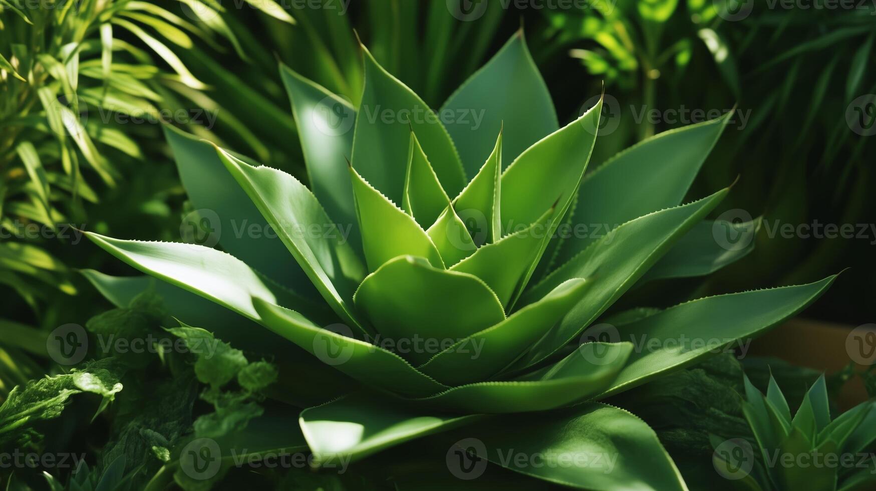 Bright green succulent plant thriving in a lush indoor garden setting surrounded by vibrant foliage photo