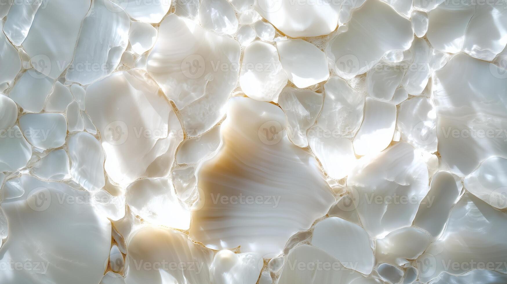Natural light reflecting off smooth, shiny seashells scattered across a sandy ocean floor photo