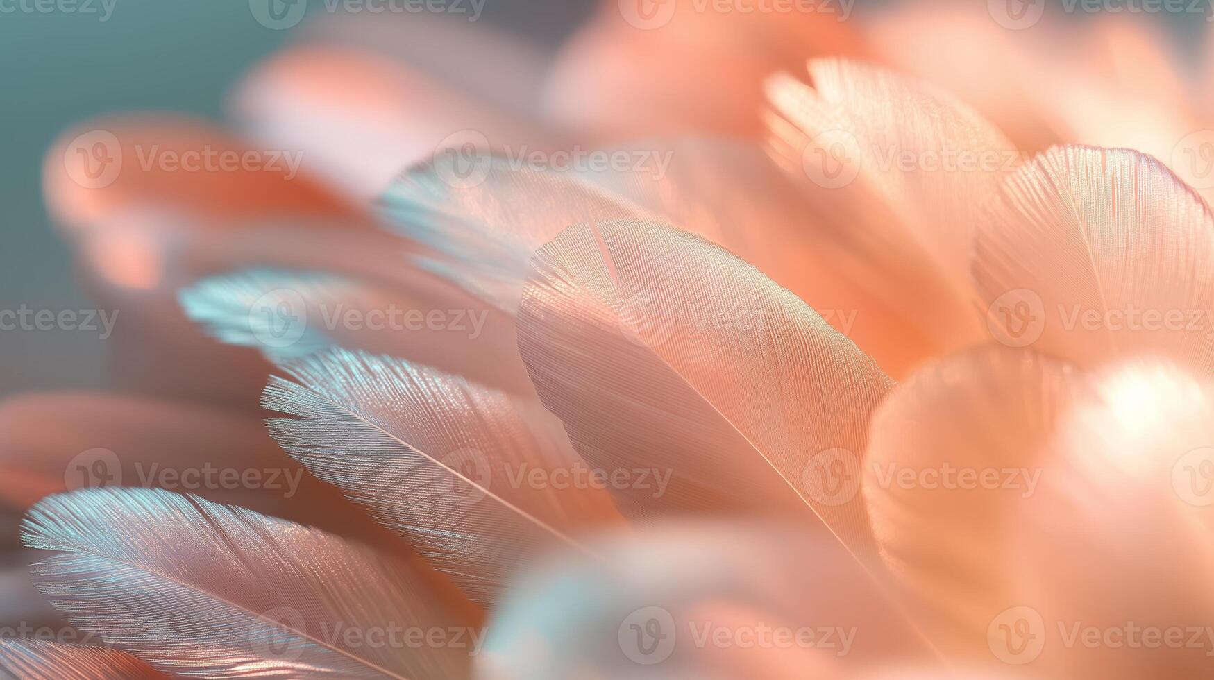 Detailed close-up of soft, pastel-colored feathers beautifully arranged on a smooth surface photo