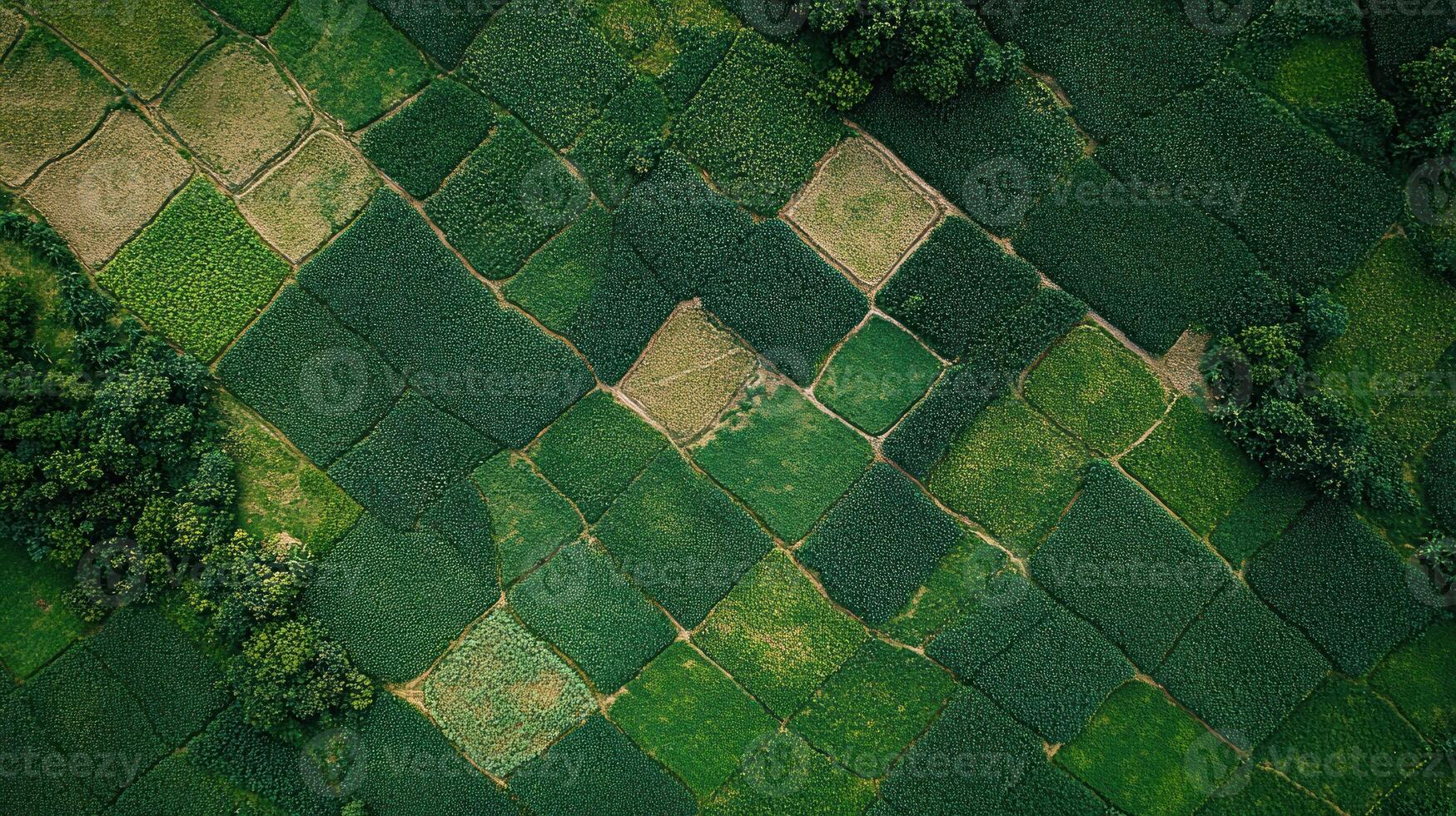 Vibrant green fields create a striking patchwork from an aerial perspective in a rural area photo