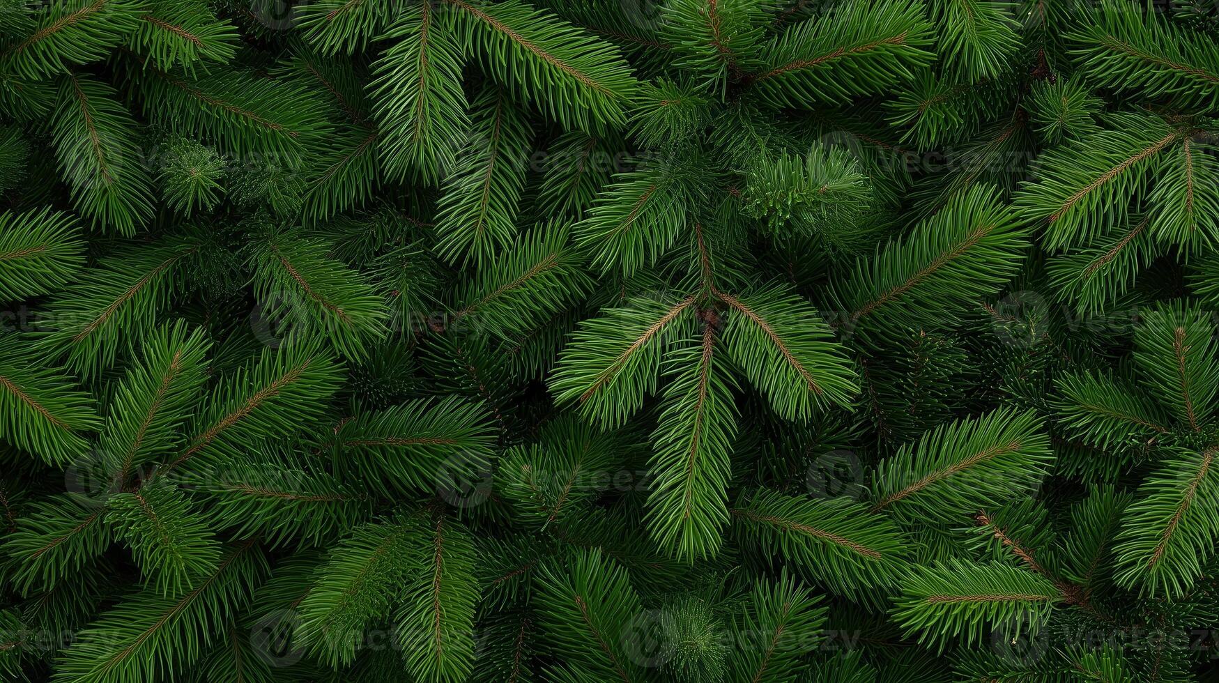 A close up view of a green christmas tree photo
