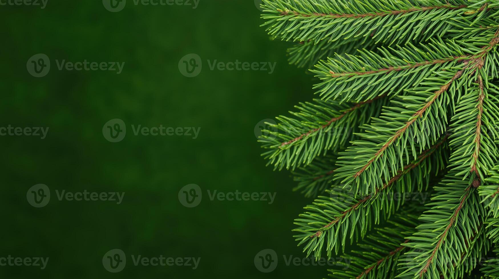Lush Green Fir Tree Branch Background for Winter and Holiday Themes Featuring Fresh Pine Needles photo