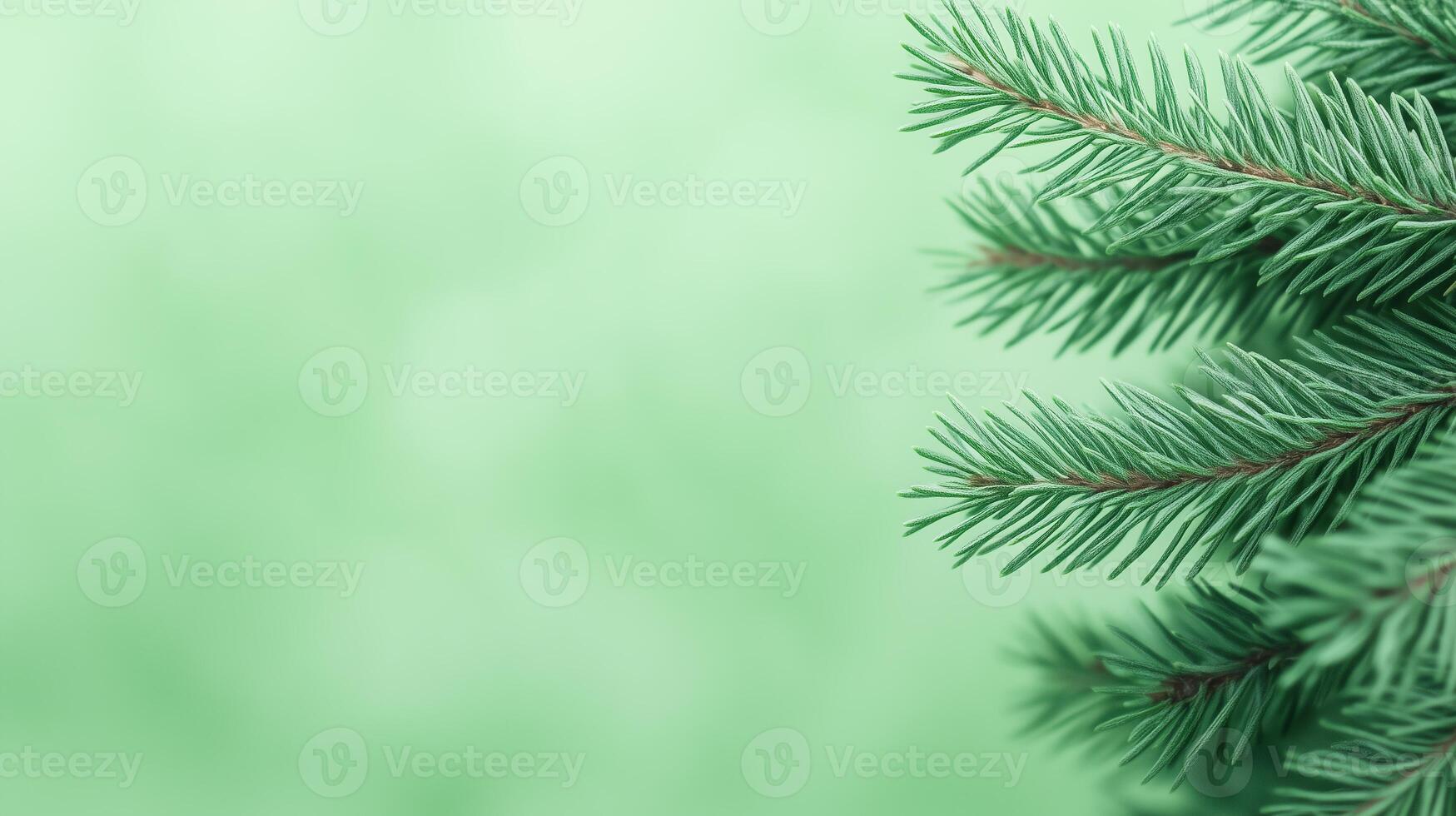 Lush Green Fir Tree Branches in Soft Focus Winter Background Highlighting Nature's Tranquility and Serenity with Vibrant Evergreen Details Perfect for Seasonal and Holiday Design Concepts photo
