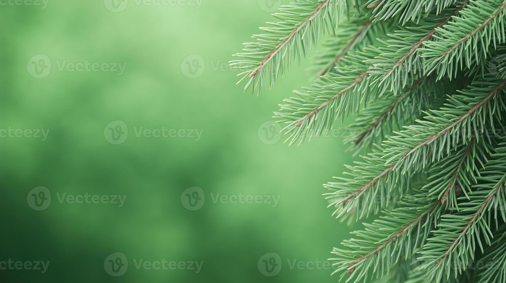 Lush Green Fir Tree Branches Against Blurred Background for Nature Inspired Holiday Designs Winter Atmosphere Ideal for Seasonal Decorations Greeting Cards Eco-Friendly Themes Botanical Art photo