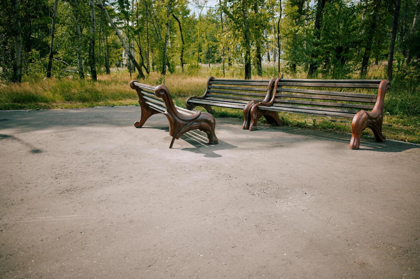 Park benches surrounded by park greenery with a blurred background photo