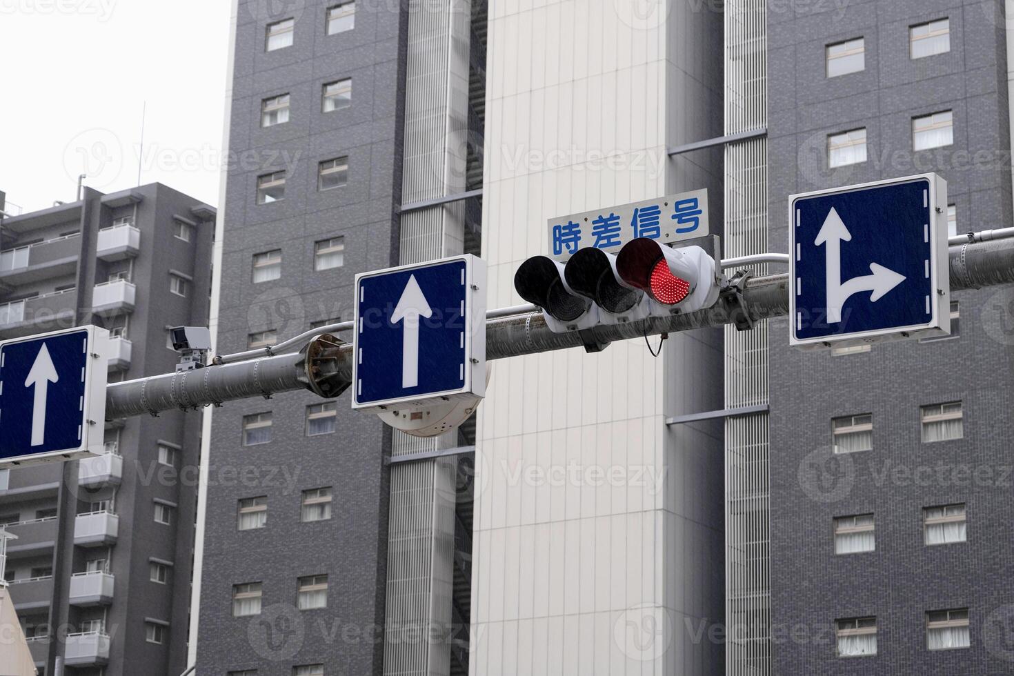 traffic light showing red signal against overcast blue sky in Tokyo, Japan. The text on the sign is Time Difference Signal photo