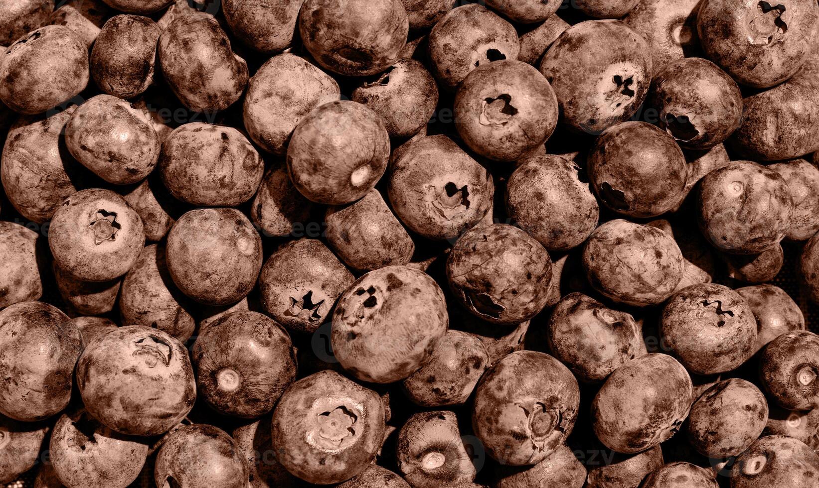 Mocha Mousse - color of the year 2025. Blueberries texture toned photo