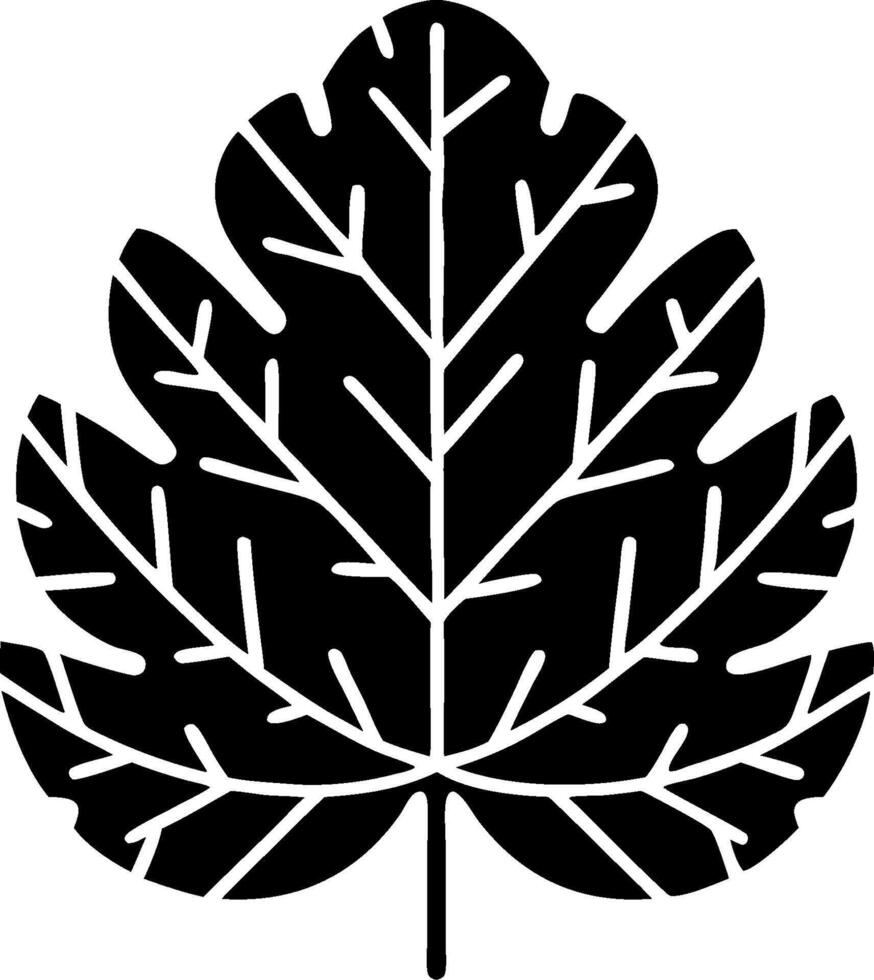 Black Silhouette Leaf Botanical Nature Illustration Design vector