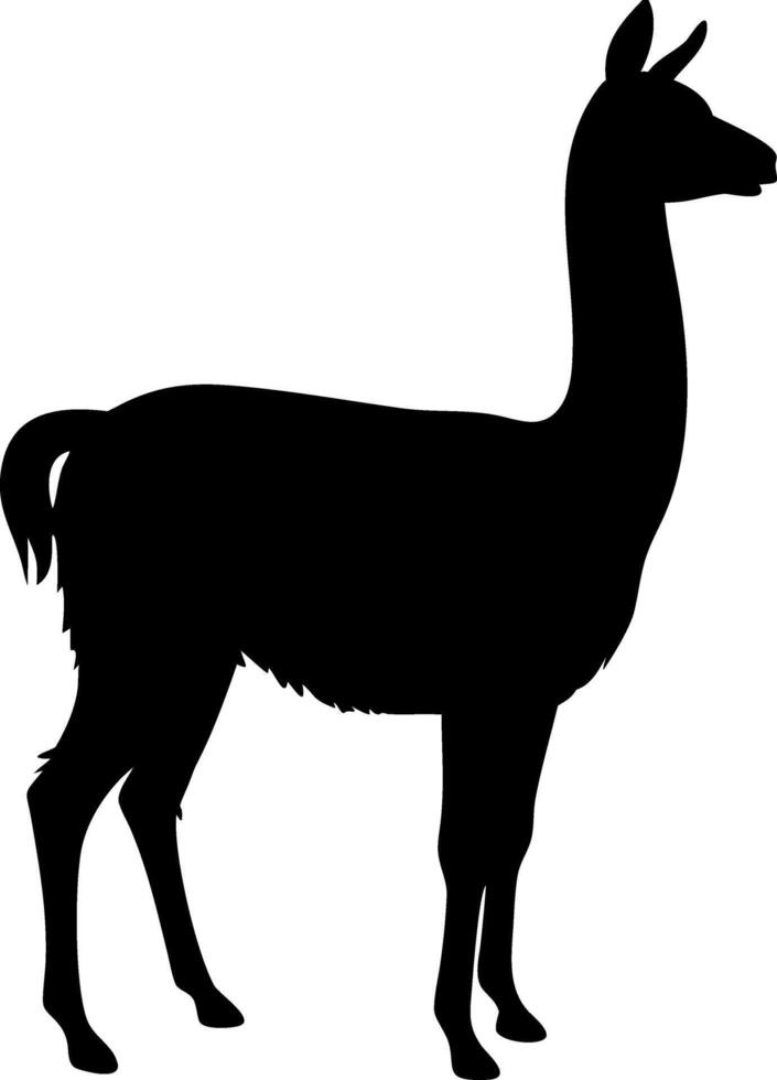 Llama Silhouette Illustration for Wildlife and Nature Designs vector