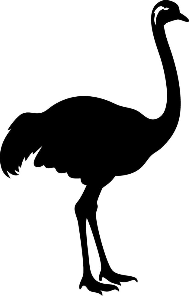 Ostrich Silhouette Art Standing Bird Wildlife Symbol vector