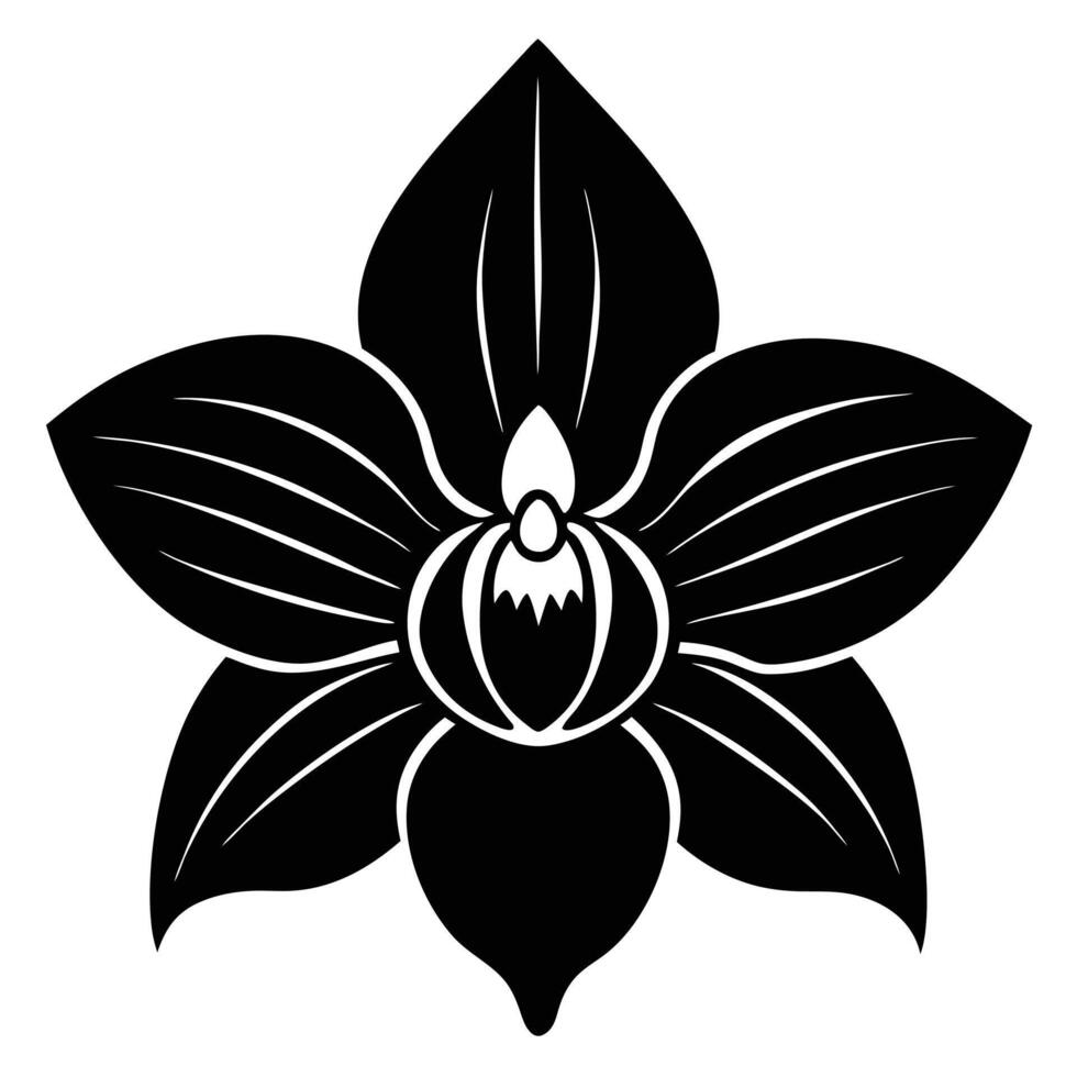 Orchid Flower Viewed from Top vector