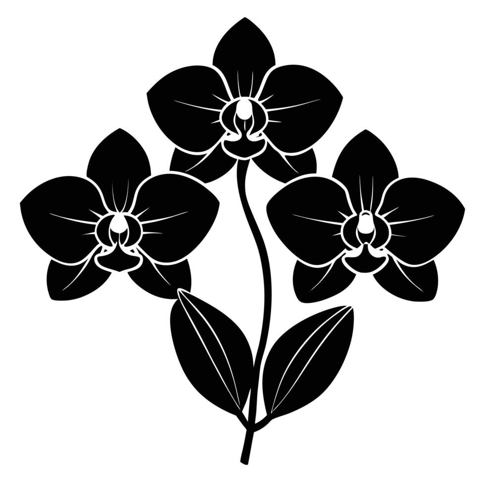 Orchid Silhouette with Three Distinct Flowers vector