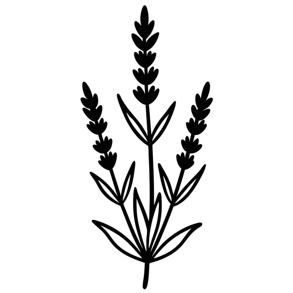 Simple Lavender Silhouette with Irregular Buds vector