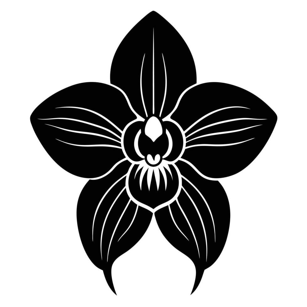 Single Orchid Bloom Silhouette with Delicate Petals vector