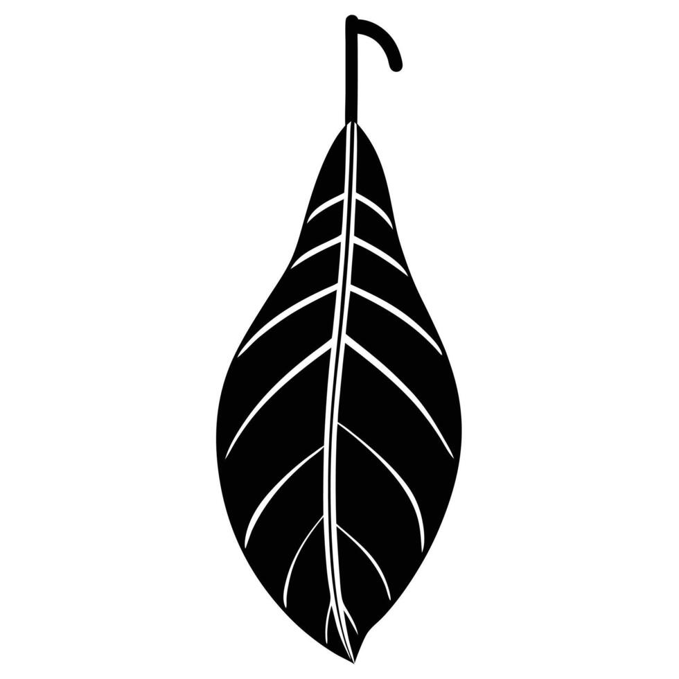 Folded Banana Leaf Hanging Downward vector
