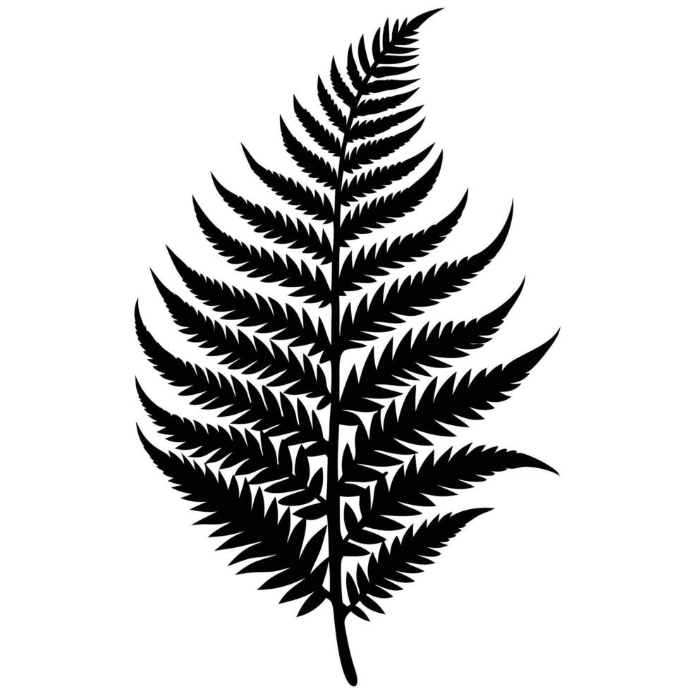 Large Frond-Like Fern Curving Slightly Downward vector